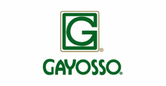 Gayosso