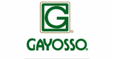 empleos de asesor comercial en Corporativo GAYOSSO