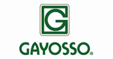 Gayosso