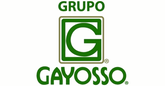 Grupo Gayosso