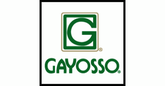 GRUPO GAYOSSO