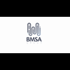Logo de BMSA GROUP