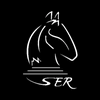 Logo de Serinsii S.A de C.V