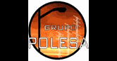 Grupo Polesa