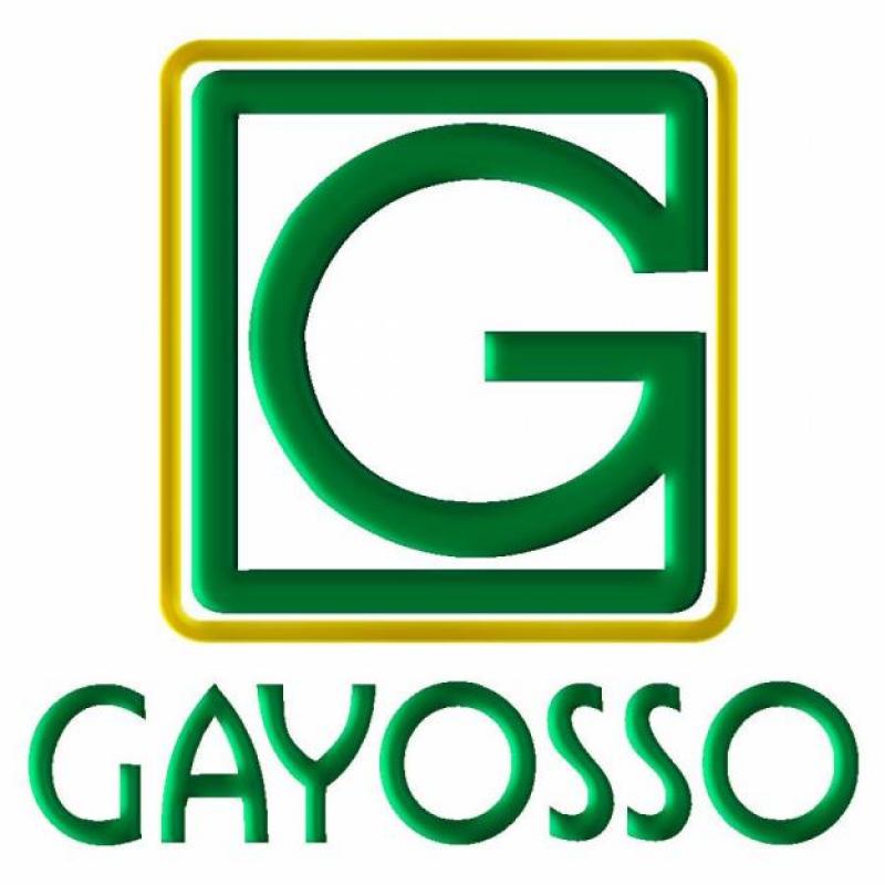 Grupo Gayosso