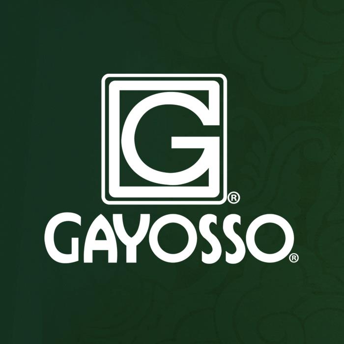 GAYOSSO CORPORATIVO