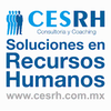 Foto de Head Hunting Tu Buscador De Talento